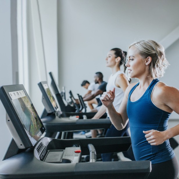 eaeb384a98a15e33d600cf40dc795615