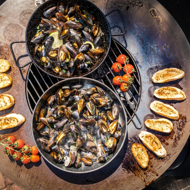 070ef180cc768d1d8844c9a9abb0ce6e