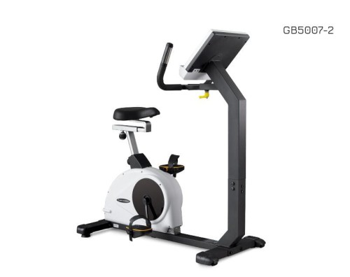 rower-pionowy-body-trainer-lcd-gb5007-body-charger-fitness (1).jpg
