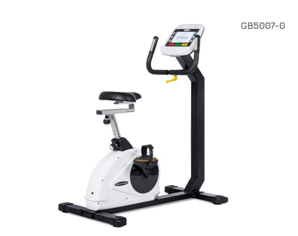rower-pionowy-body-trainer-lcd-gb5007-body-charger-fitness.jpeg