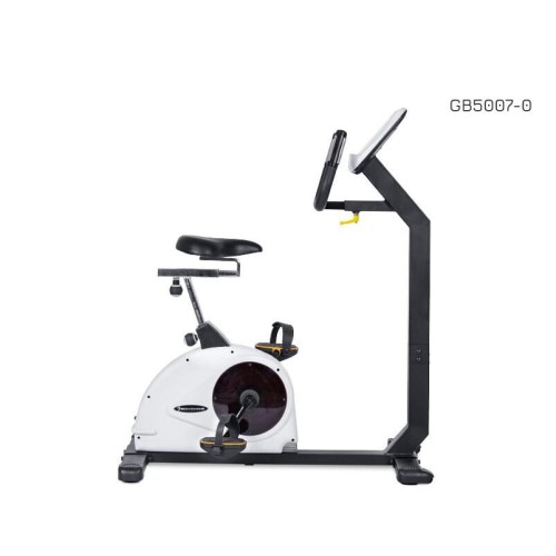 rower-pionowy-body-trainer-lcd-gb5007-body-charger-fitness.jpg