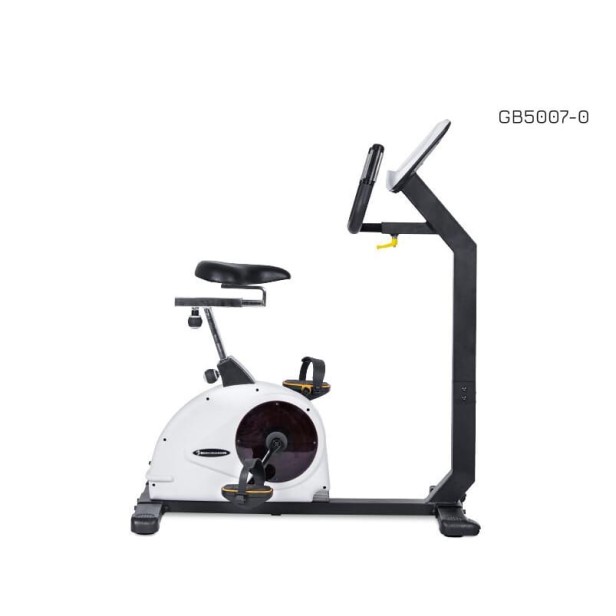 rower-pionowy-body-trainer-lcd-gb5007-body-charger-fitness.jpg