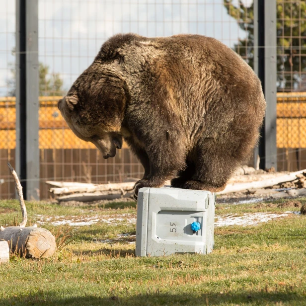 69a40ee4d1e3fd42058cba308b8fbd03